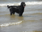 Tristan op het strand